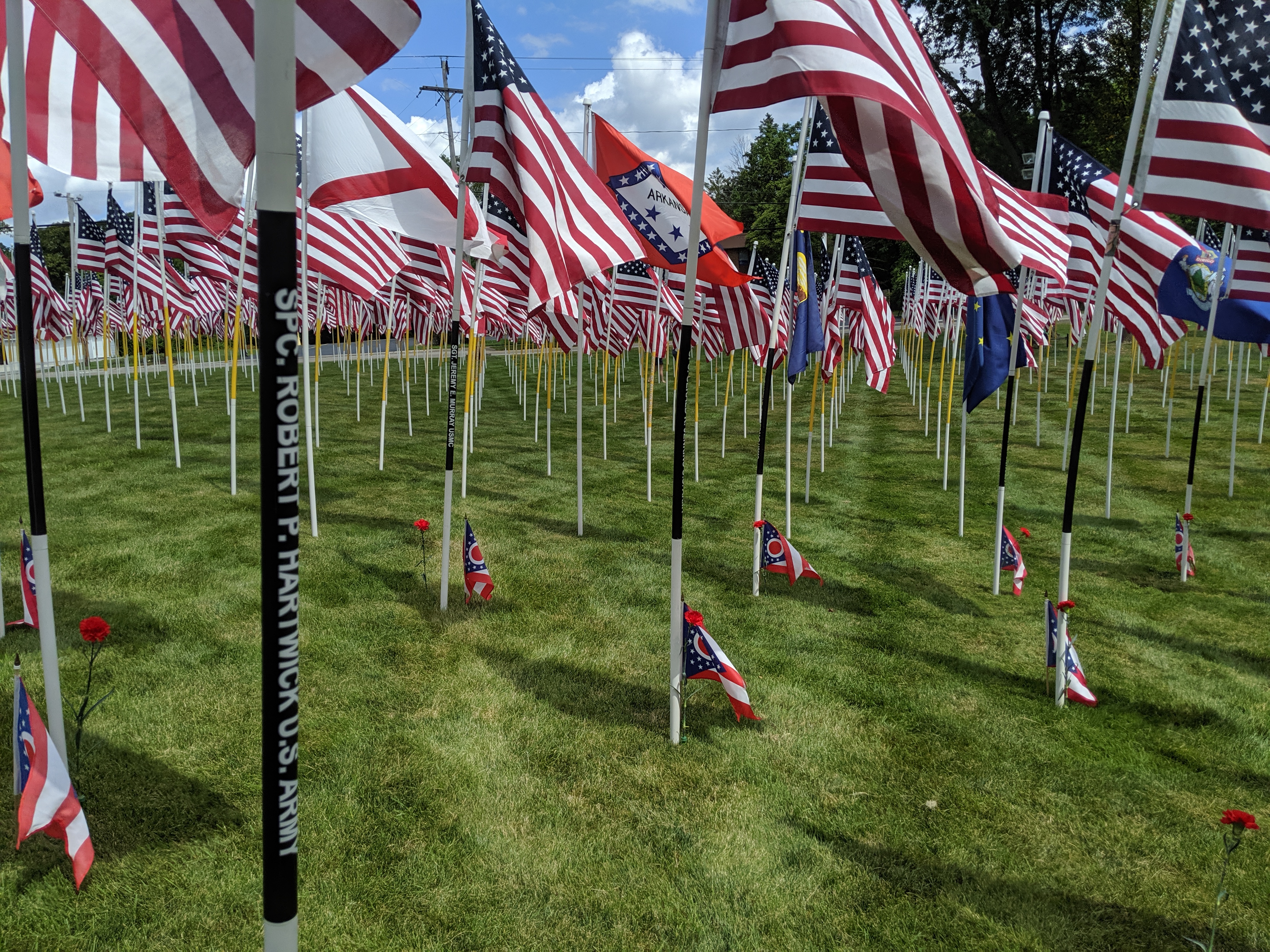 MVIMG_20190810_121653