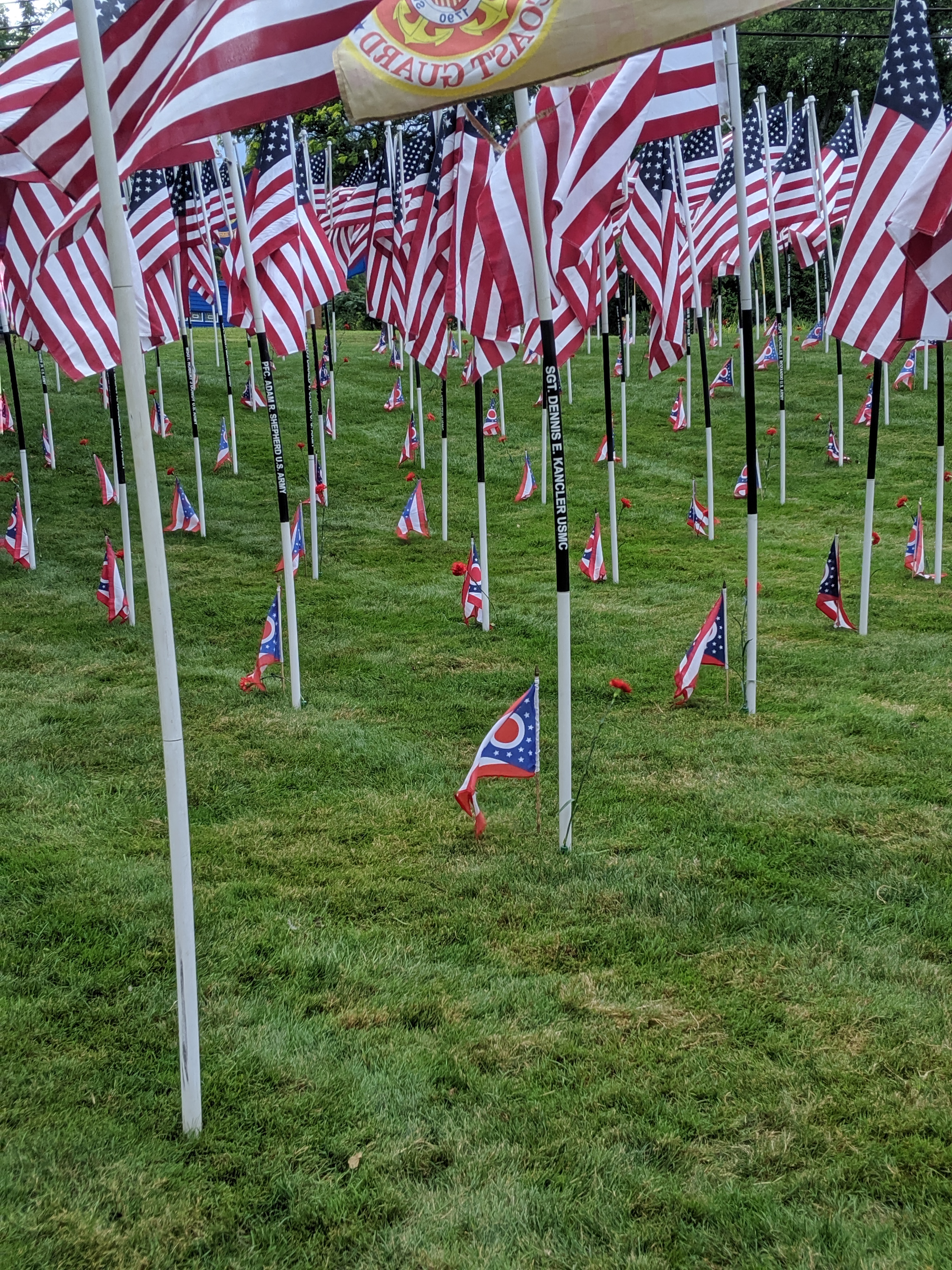 MVIMG_20190810_122152