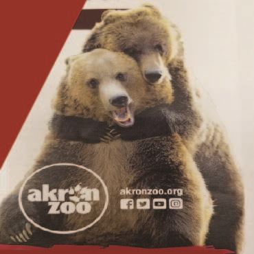 Bear-Template370x370