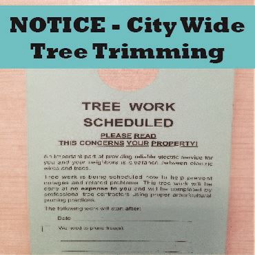 CityTreeTrimming-370x370