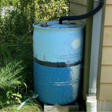 Rain Barrel