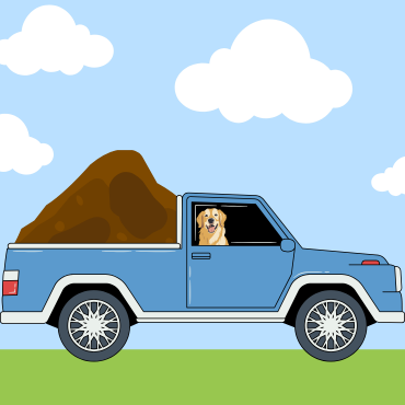 Humus and Wood Chips